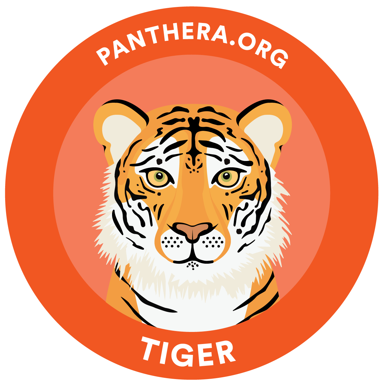 Animated Tiger Sticker