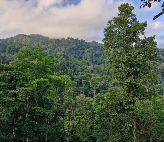 Landscape view of Izabal, Guatemala