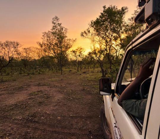 sunrise in Niokolo-Koba park, Senegal