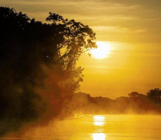 River in the Pantanal