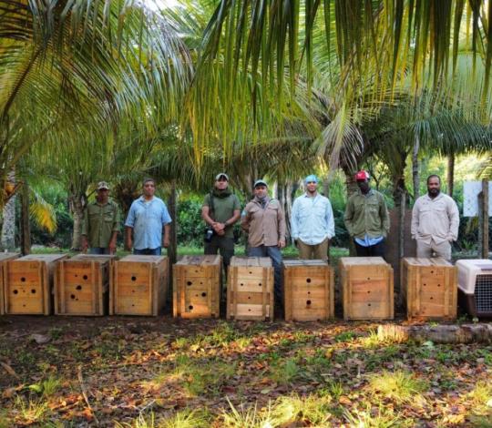 Panthera’s team prepares to open crates containing 14 collared peccaries, who were released back into their natural habitat in Jeannette Kawas National Park, Honduras.