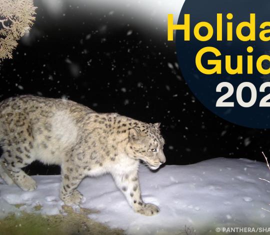 Panthera Holiday Guide 2022
