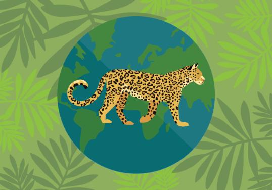 Leopard with globe and forest