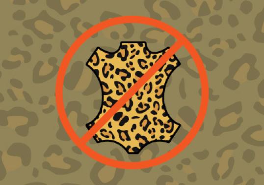 Leopard skin crossed out