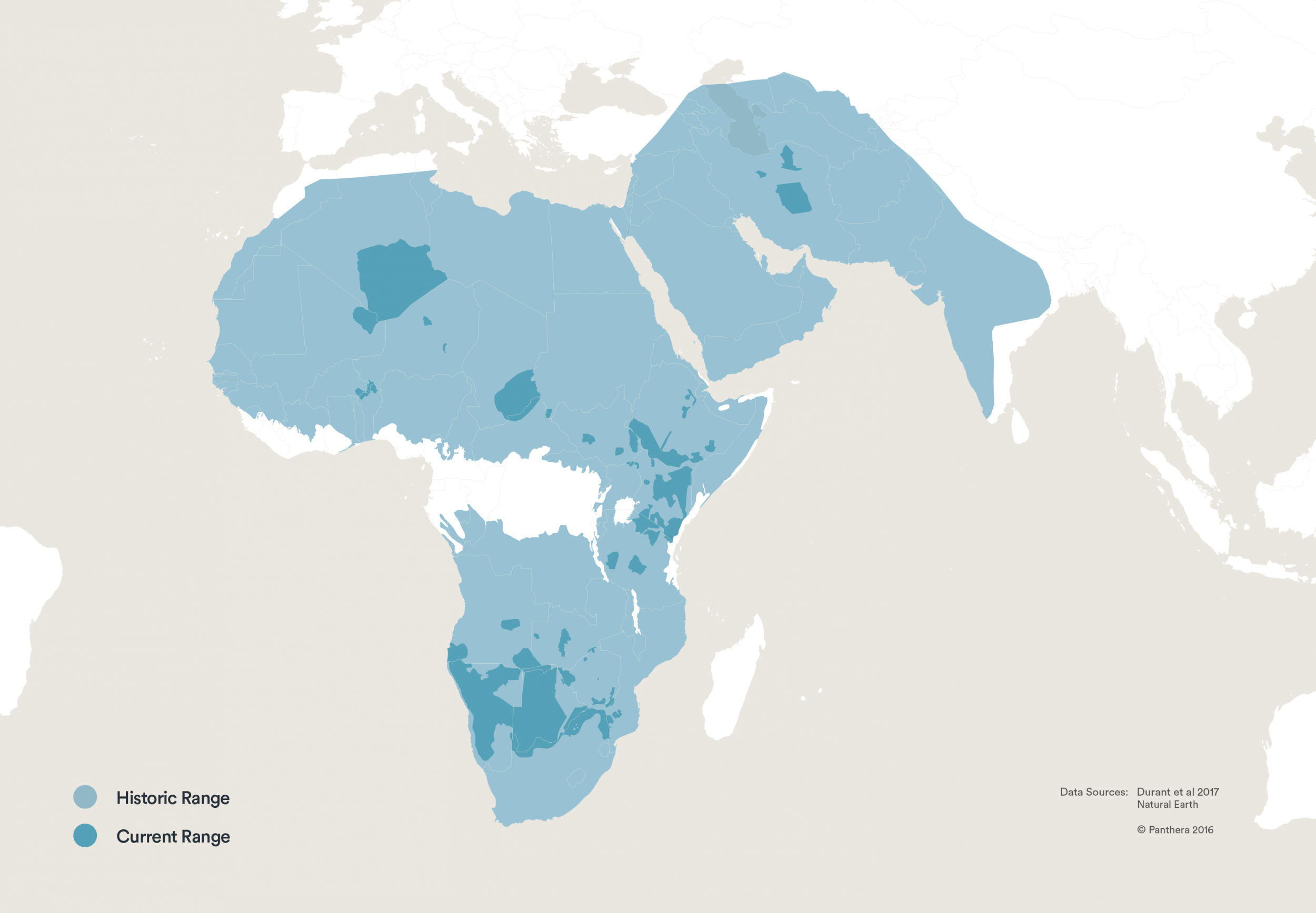 map showing the current and historic ranges of cheetahs