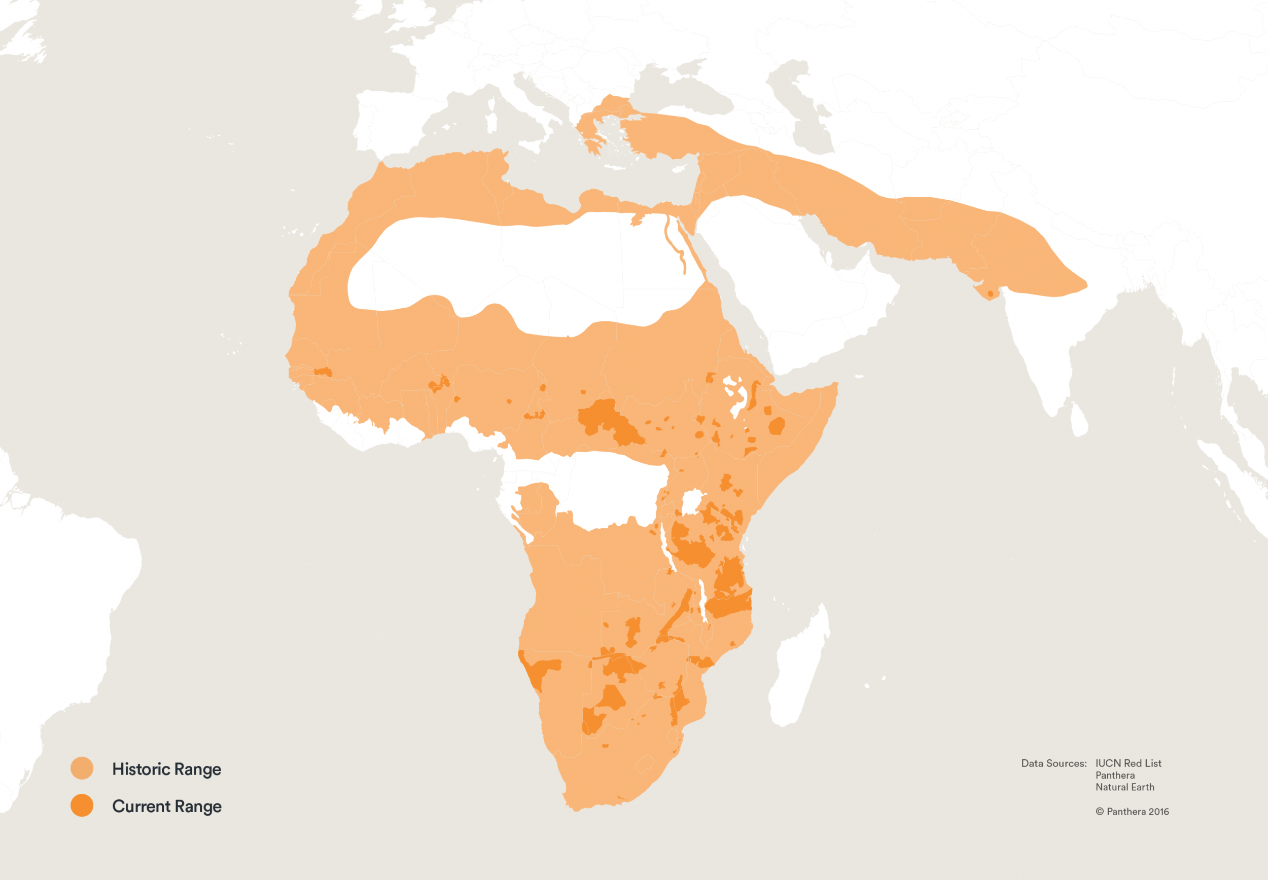 map showing the current and historic ranges of lions