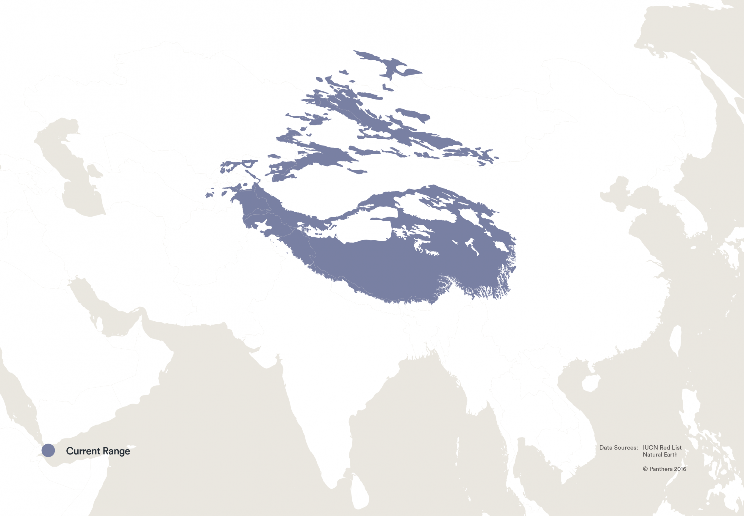 map of the snow leopard's range