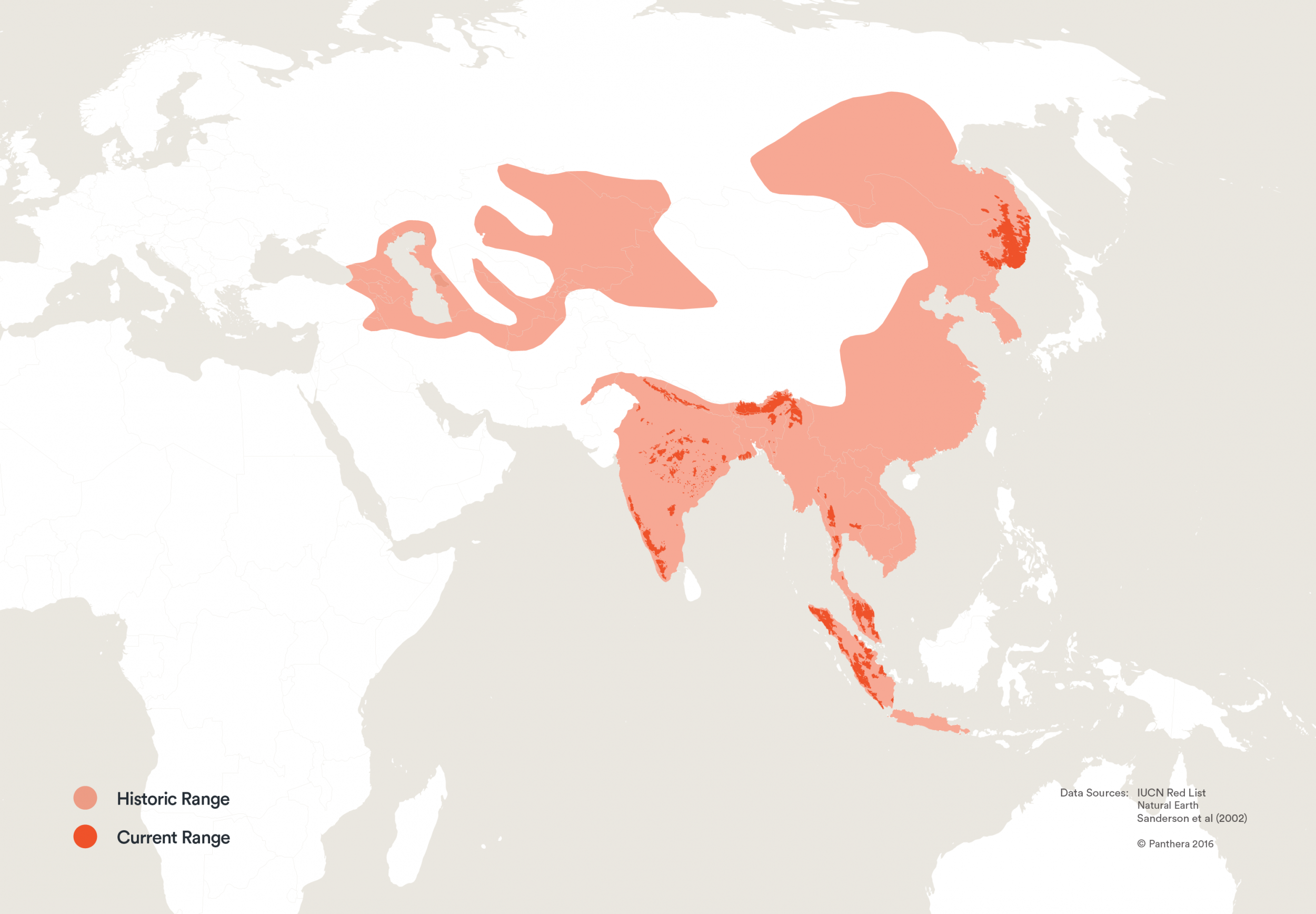 map showing the current and historic ranges of tigers