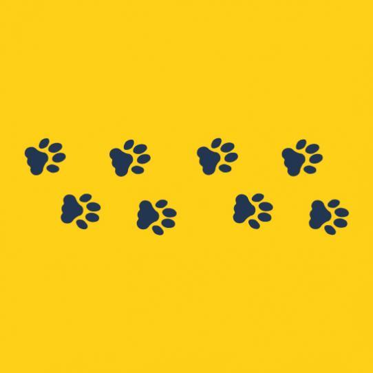Small Cats