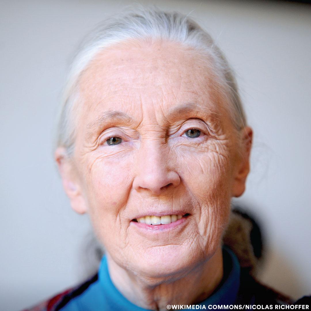 Jane Goodall