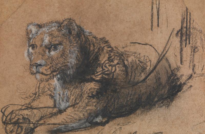 THE LEIDEN COLLECTION