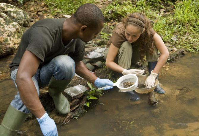 Panthera Gabon staff sift through a river