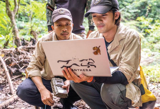 Field staff looking at a laptop